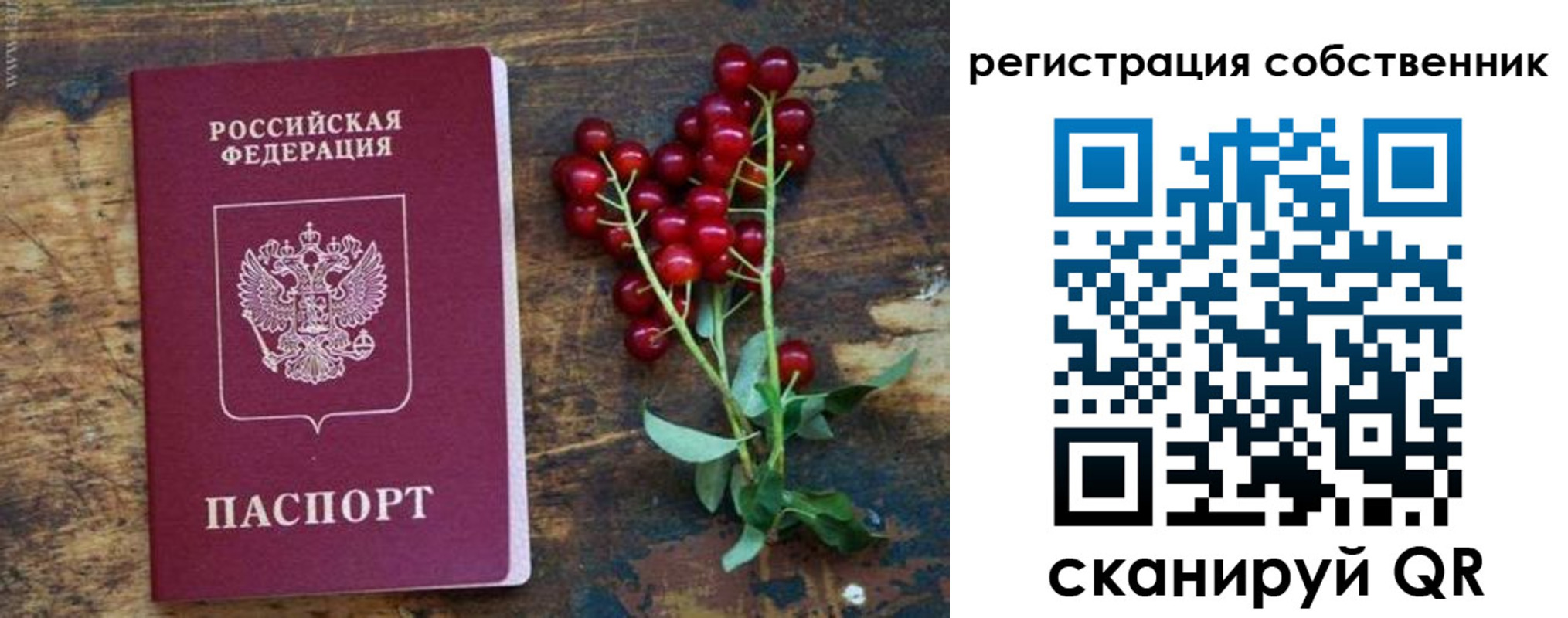 регистрация для дет. сада в Домодедово
